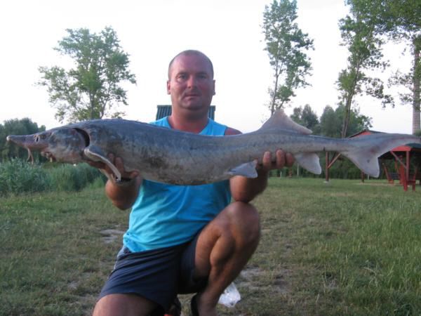 IMG 1099_edited.jpg